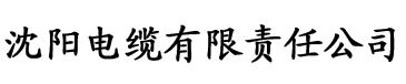 久久久久波多野结衣高潮电缆厂logo